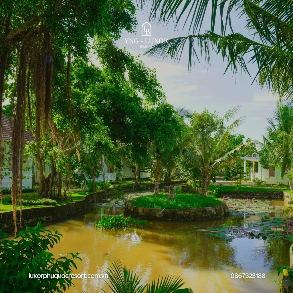 Phú Quốc không chỉ có biển, mà còn có bình yên để trở về