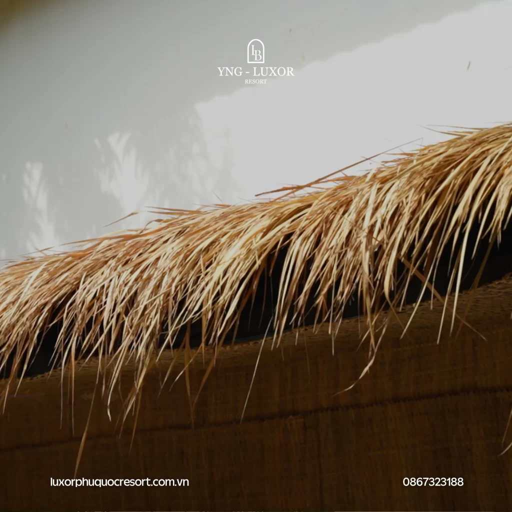 Phú Quốc không chỉ có biển, mà còn có bình yên để trở về