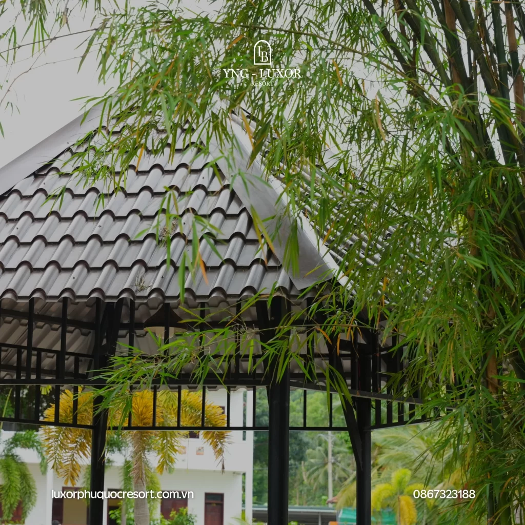 Phú Quốc không chỉ có biển, mà còn có bình yên để trở về